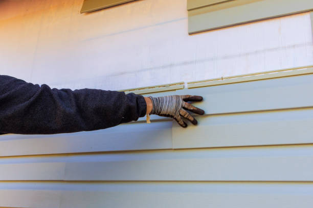 Professional Siding in Lancaster, TX